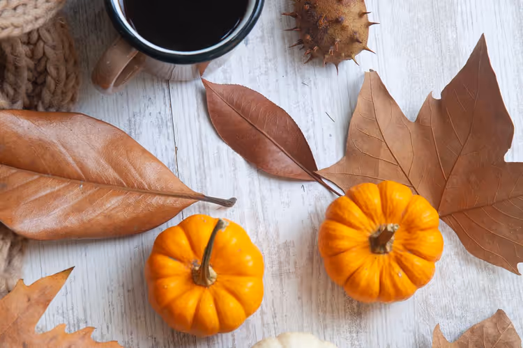 Coffee, pumpkins and autumn leaves on a light table