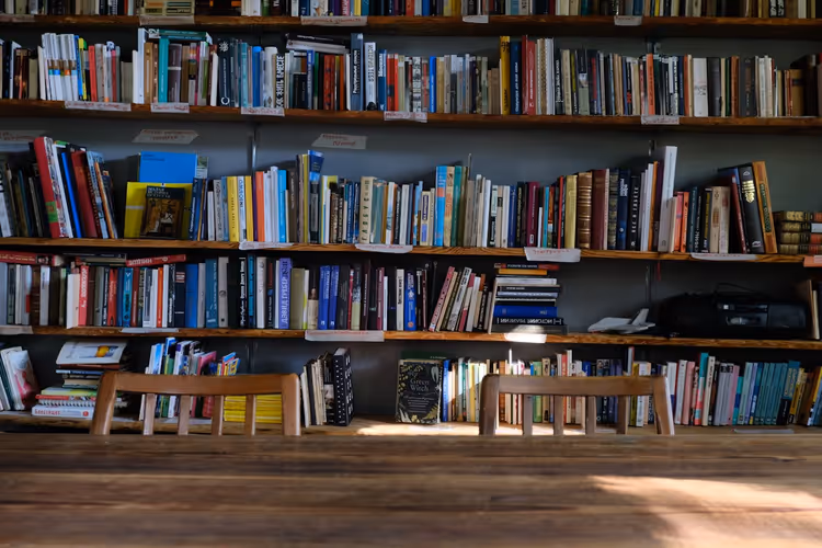 Library shelves with books