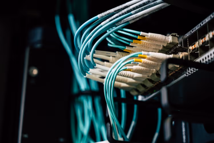 Nätverkskablar i en patchpanel som metafor för länkar mellan webbsidor