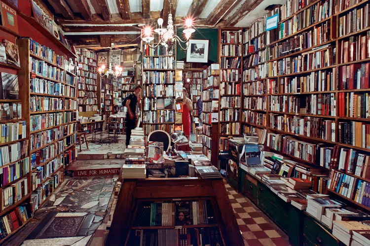 Wooden shelves with independent press books in a small shop